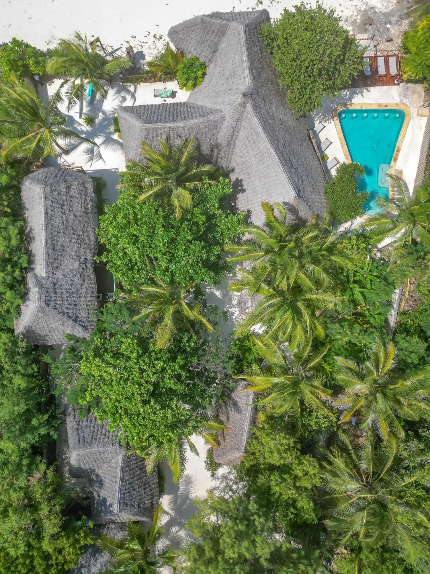 Natural Garden Boutique Hotel Джамбиани Экстерьер фото